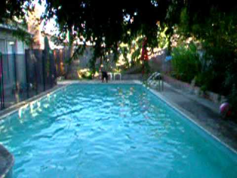 Stoli & Nitrus sharing a rubber duck in the pool
