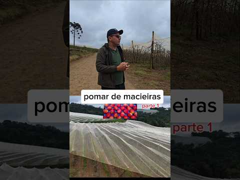 🍎🌳 Uma experiência que não estava nos nossos planos!Durante nossa passagem por Fraiburgo,
