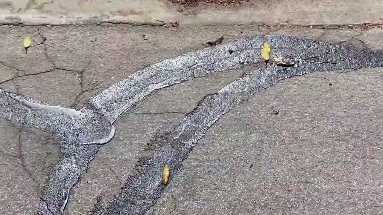 Introduction to Crack Sealing (2022) Max Devereaux Short Film