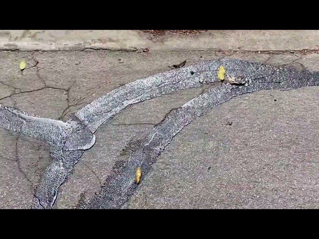 Introduction to Crack Sealing (2022) Max Devereaux Short Film