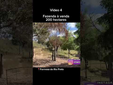 What 77998539398 fazenda à venda em Formosa do Rio Preto Bahia #fazenda #soja  #Chacará #milho