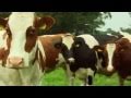 Unilever Sustainable Living Plan Sourcing