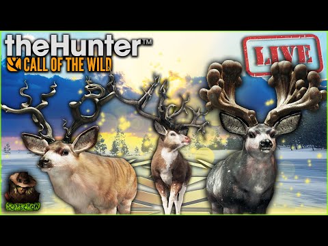 I'm Sick So Lets Grind! 7 Day Mule Deer Great One Grind Begins! Extreme HM! Call of the wild