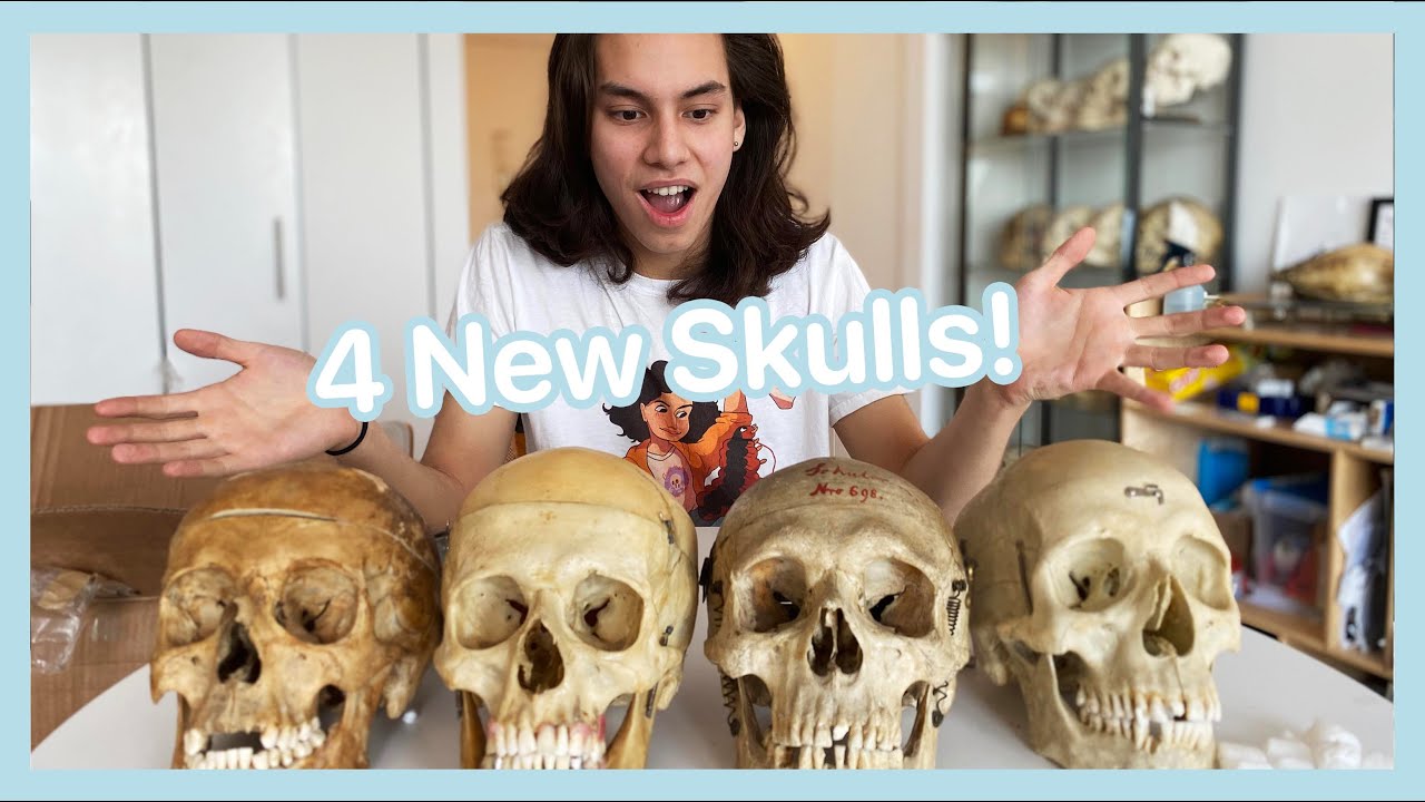 Unboxing 4 Real Human Skulls?!