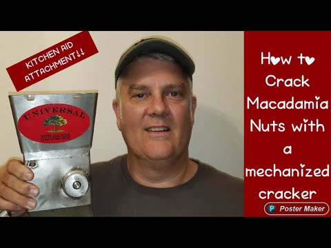 How to crack macadamia nuts!!!