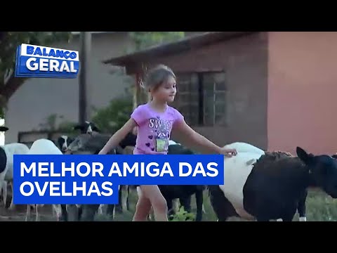 Menina de 7 anos viraliza na internet ao montar em ovelha sem sela