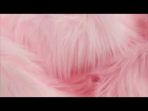 hari kvoter - hlp (OG verzija)