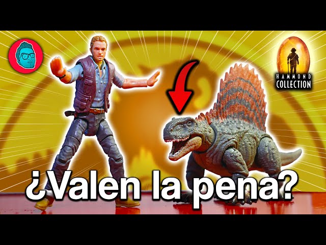 Vídeo relacionado con Mattel Jurassic World Dominion Hammond Collection - Figura de dinosaurio Dimetrodon, diseño y articulación premium, juguete coleccionable