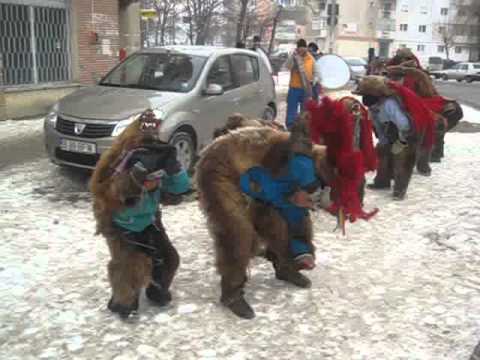 ursi din poduri 1 by maroknu