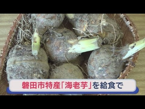 YouTube Video 静岡・磐田市の小学生が地元特産の海老芋を給食で味わう