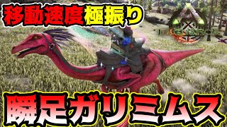 ガリミムス テイム Watch Hd Mp4 Videos Download Free ガリミムス テイム Watch Hd Mp4 Videos Download Free