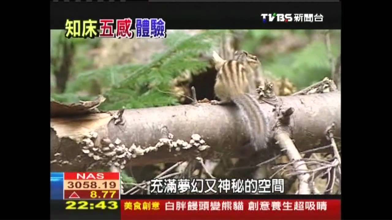 到知床半島看動物 大啖山珍海味