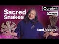 Why Snakes In Snakes And Ladders The Sacred Snakes Of Ancient India Curator S Corner S10 Ep2