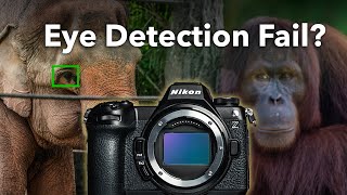 Nikon Z6 III Animal Eye AF: REAL WORLD Success or Struggle? (ISO & DR Test)