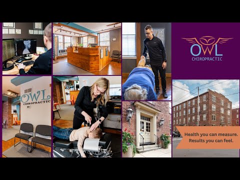 Owl Chiropractic Lancaster Pa
