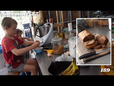 No Fail Banana Bread w the Kids | Thermomix TM6 | Freezing excess bananas | Off Grid Australia 159
