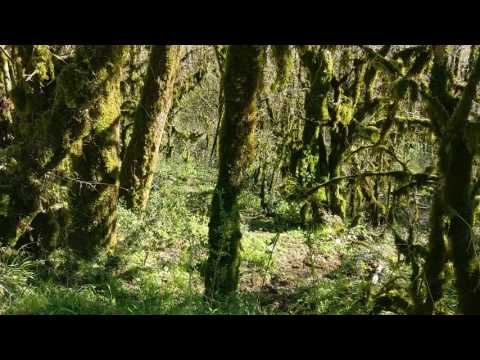 video-2017-03-30-15-09-32.mp4