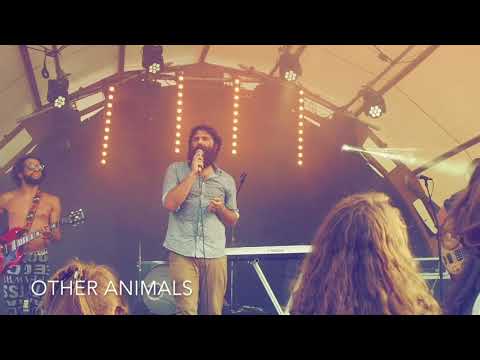 kleinLaut Festival 2018