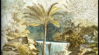 A viagem de Spix e Martius. Maria de Fátima Costa/Pablo Diener
