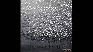 The Friendly Fires - Arkansas