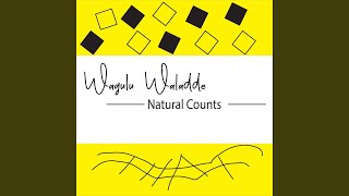 Download lagu Akawewo Ko Kukaalo Natural Counts mp3