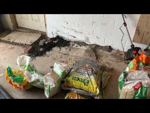 Mice Run Rampant in Homeowners Garage in Kendall Park, NJ