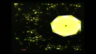 Scanner - R.M.U. [320kbps]