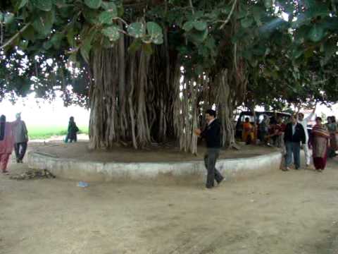 Allahabad video