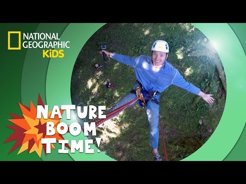 Hoh Rain Forest | Nature Boom Time | @natgeokids