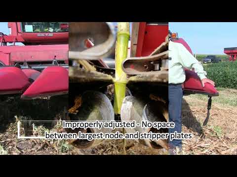 Marion Calmer on Setting Stripper Plates