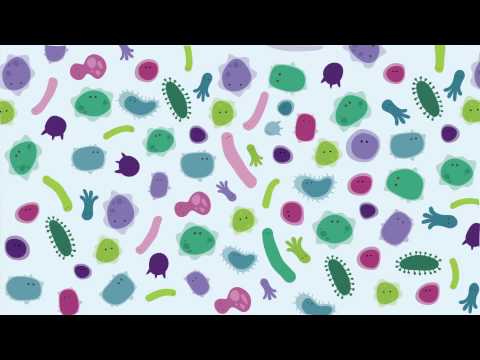 Introducing The Human Gut Microbiome