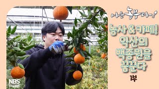 [나는농부다 290회 1부] 농사&카페! 익산의 백종원을 꿈꾼다