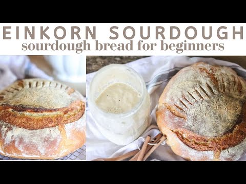 Easy No-Knead Einkorn Sourdough Bread Recipe