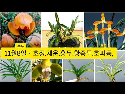 유튜브 썸네일