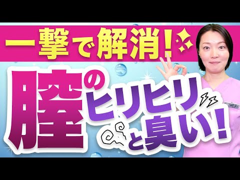 雌犬の外陰膣炎:原因と治療法