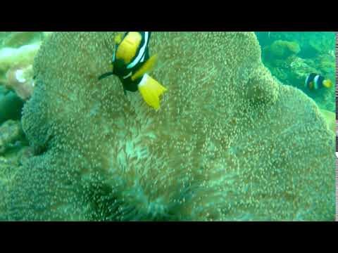 2018 1230 170556 031