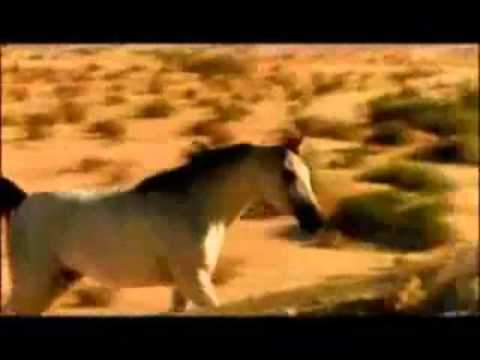 Captain and Tennille - Happy Together(A Fantasy)1980