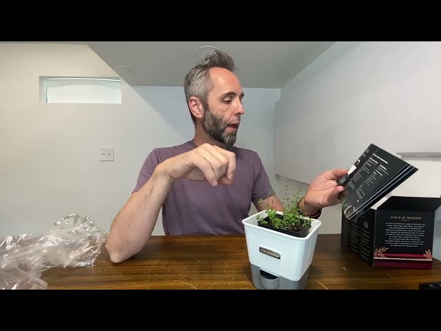 Best Self-Watering Herb Keeper: Your Ultimate Guide to Keeping Herbs Fresh - product in use