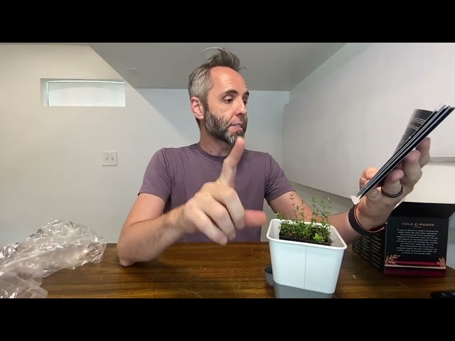 Best Self-Watering Herb Keeper: Your Ultimate Guide to Keeping Herbs Fresh - alternate angle