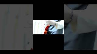 【#又三郎】【#ヨルシカ】【#shorts】【#永久機関】#又三郎 #ヨルシカ #幻燈 プロフよりYouTube fullへ飛べます！ #初音ミク #anime   #hatsunemiku