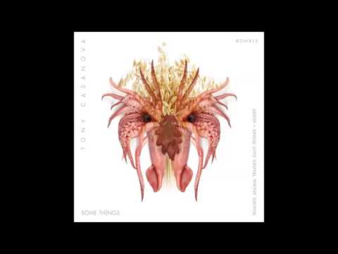 Tony Casanova - Some Things (Penner+Muder Remix)  [WellDone! Music]