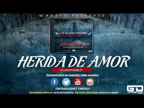 download lagu mp3 mp4 Banda Sinaloense Acero De Pablo Molina Jr Si Tu Supieras, download mp3 Banda Sinaloense Acero De Pablo Molina Jr Si Tu Supieras free download mp3, download mp3 Banda Sinaloense Acero De Pablo Molina Jr Si Tu Supieras