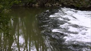 Rien que de l'eau Music Video