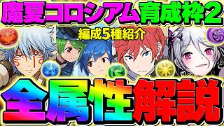 【完全保存版】4分台&育成枠2で+891育成！魔夏の+限界突破コロシアム 周回編成5パターン解説！【パズドラ】