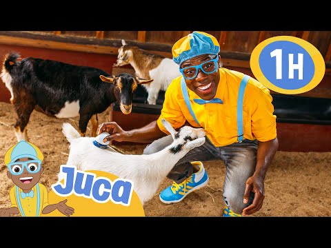 Juca Visita uma Fazenda de Animais! | 1 HORA DO JUCA BRASIL! | Videos Educativos em Português