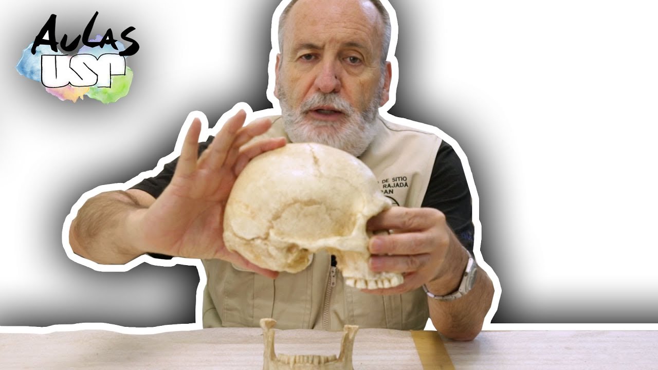 A Saga da Humanidade -- Aula 11 (Homo sapiens)