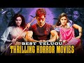 Best Telugu Thrilling Horror Movies Telugu Horror Full Movies DSJ DeyyamthoSahajeevanam Bottu