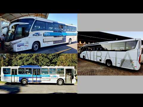 Socorro/São Paulo via Bragança e Atibaia. Três ônibus, dois pastéis e um sanduíche de linguiça 😄