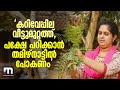 കറിവേപ്പില വീട്ടുമുറ്റത്ത് പക്ഷേ പറ�