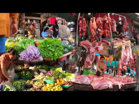 Cambodian Routine Fresh Vegetable & Fish Market Compilation - Best Cambodian Market Tour in the city